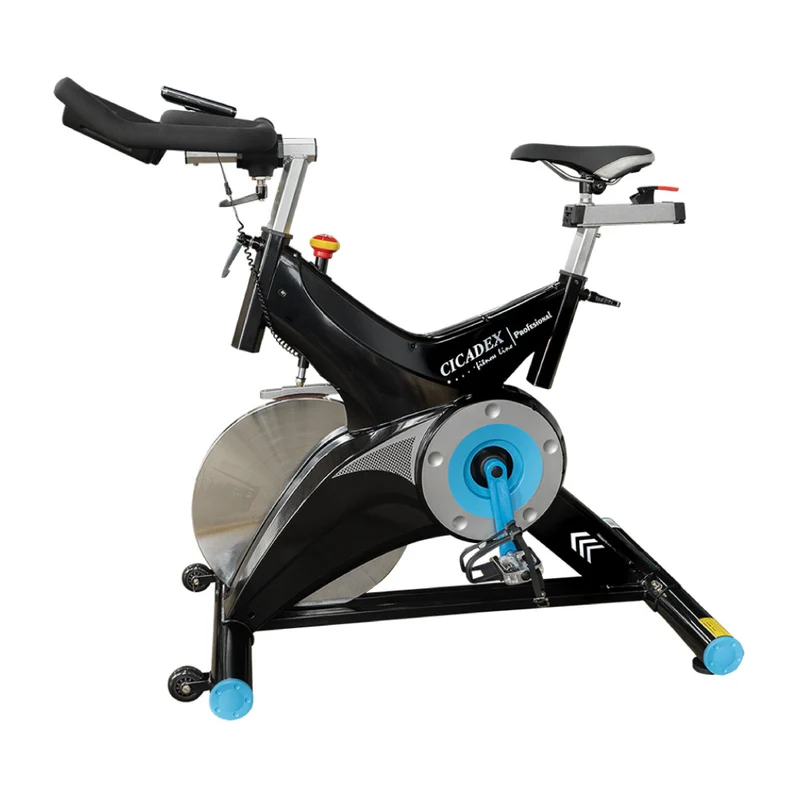 Cicadex Bicicleta Estacionaria Profesional con Disco Sólido de 22 Kg, CT-979