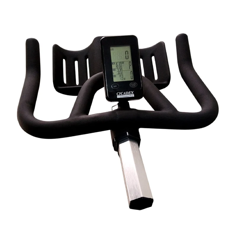 Cicadex Bicicleta Estacionaria Profesional con Disco Sólido de 22 Kg, CT-979
