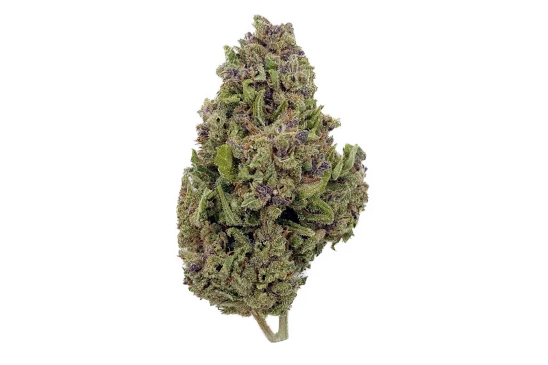 FLEURS CBD - WATERMELON