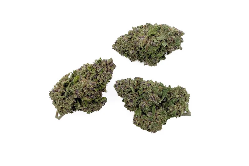 FLEURS CBD - WATERMELON