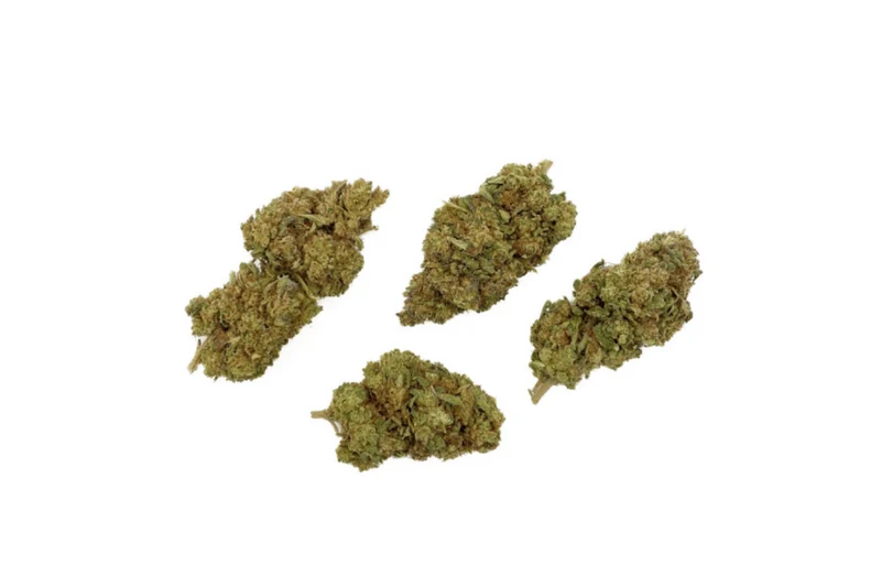 FLEURS CBD - LEMON HAZE