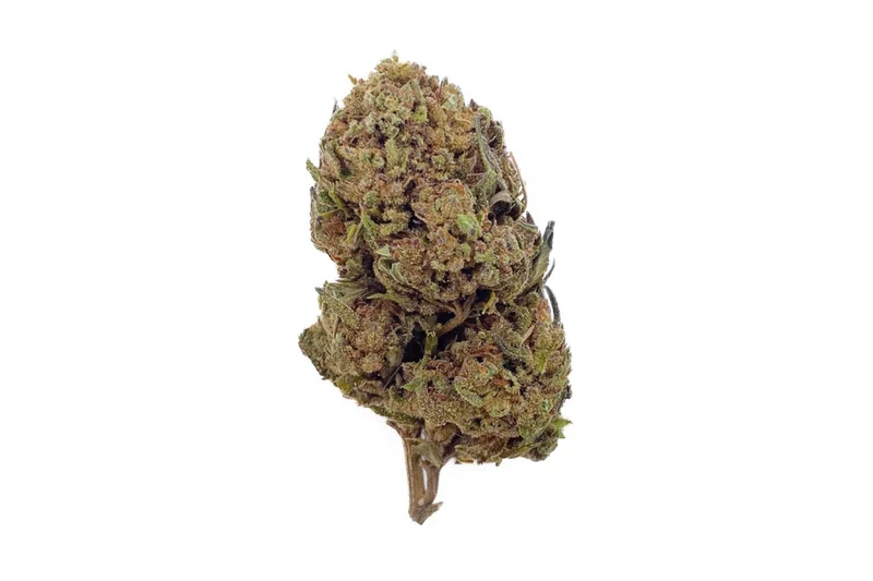 FLEURS CBD - HARLEQUIN