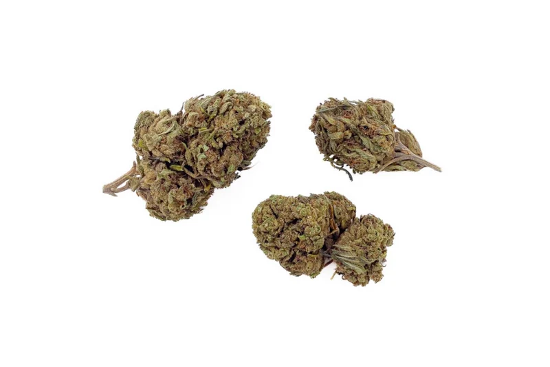 FLEURS CBD - HARLEQUIN