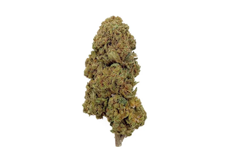 FLEURS CBD - GELATO