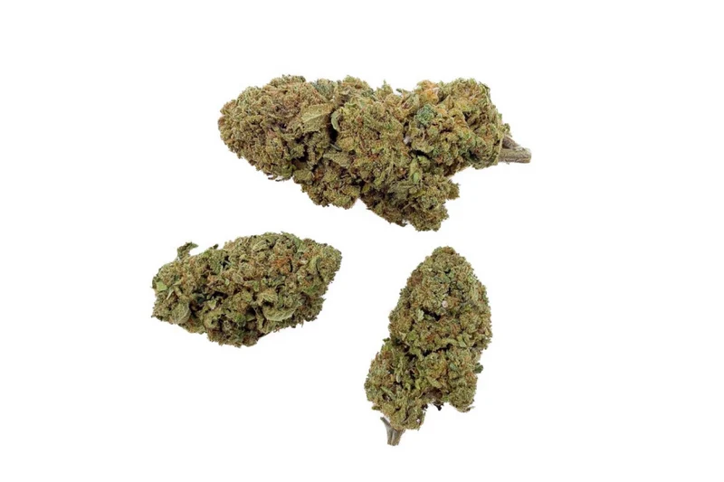 FLEURS CBD - GELATO