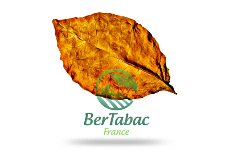 FEUILLES DE TABAC - VIRGINIE RED (ITALIA)