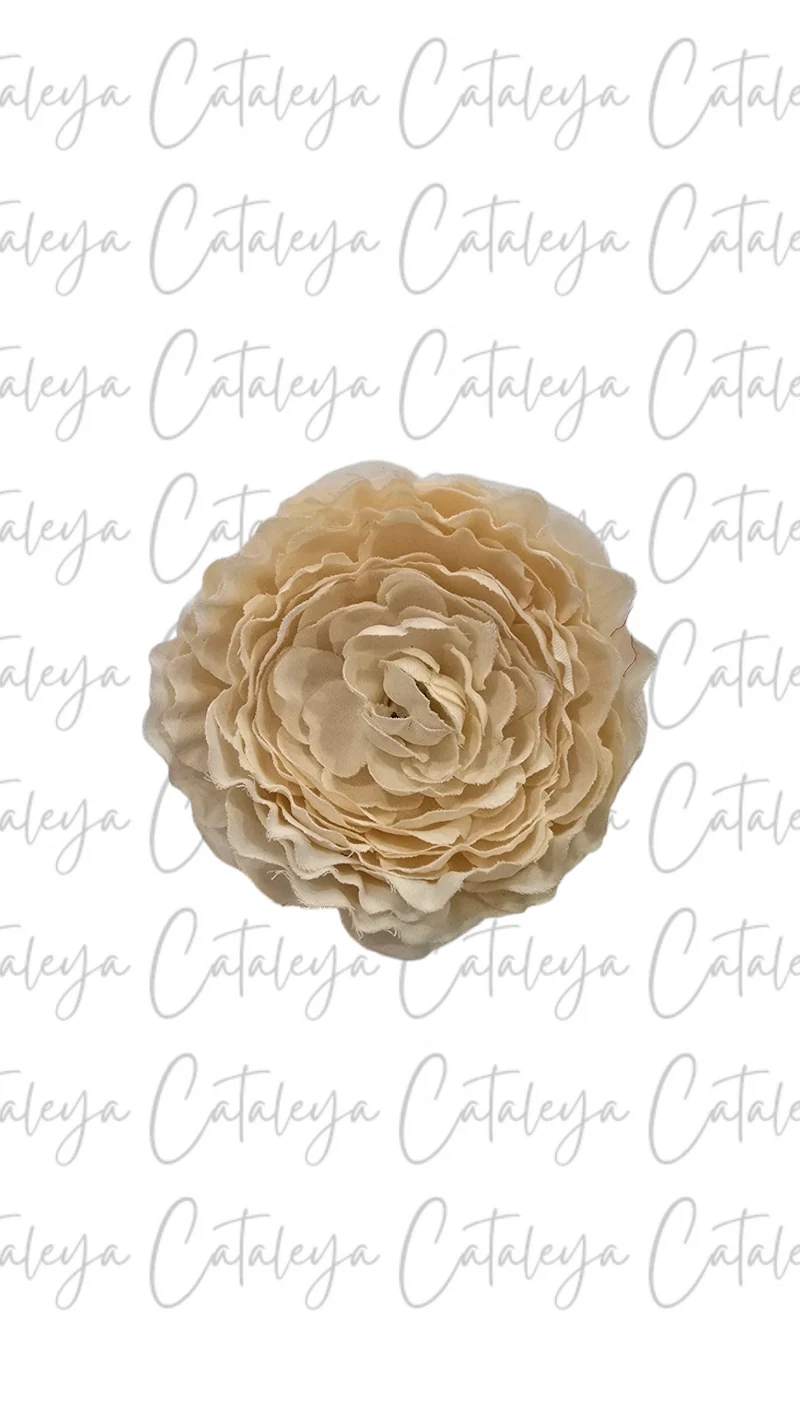 Peonia Pequeña