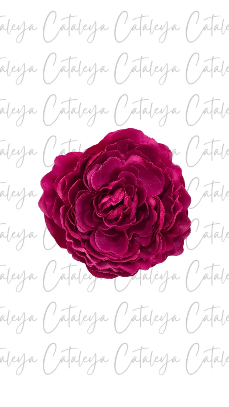 Peonia Pequeña