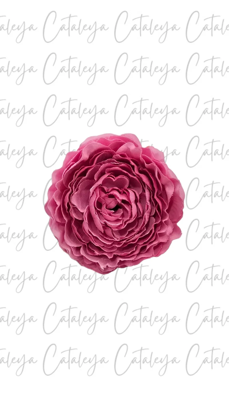 Peonia Pequeña