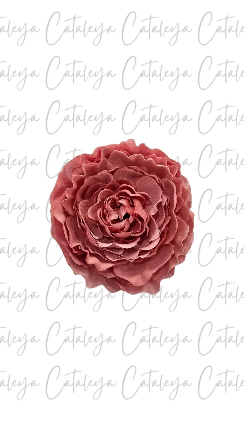 Peonia Pequeña
