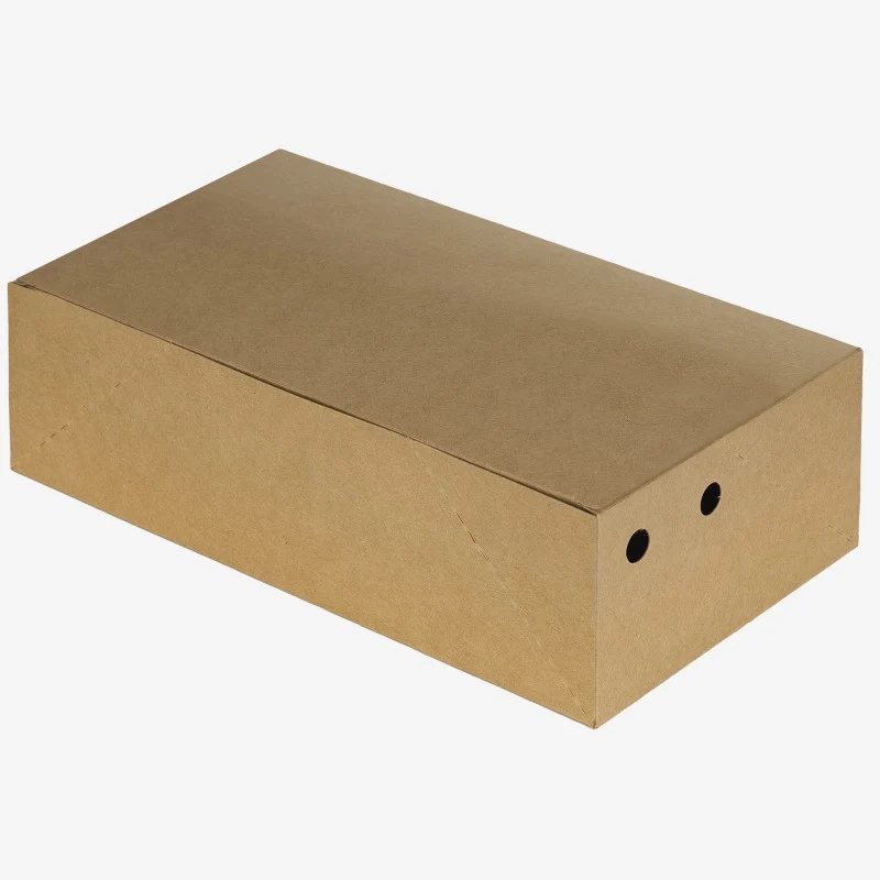 Caja Fritos Antigrasa Grande (14x10x6cm)