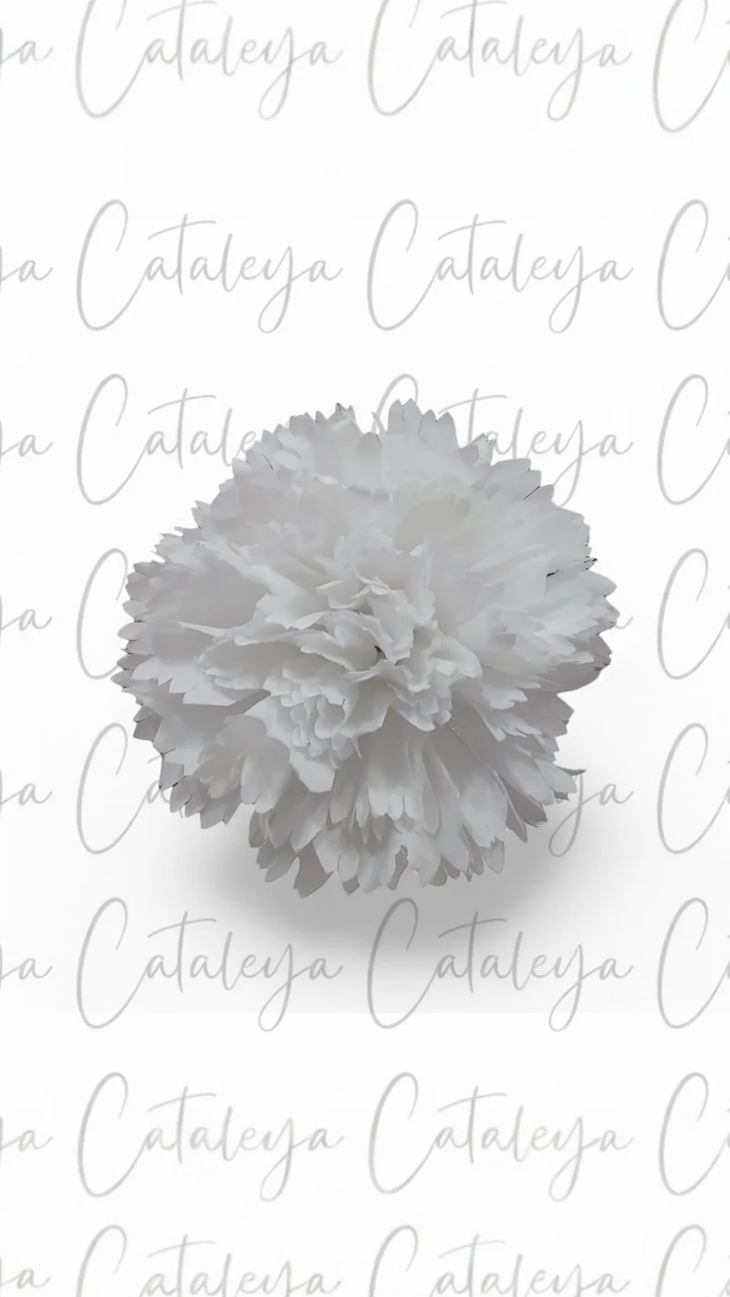 Clavel Mediano