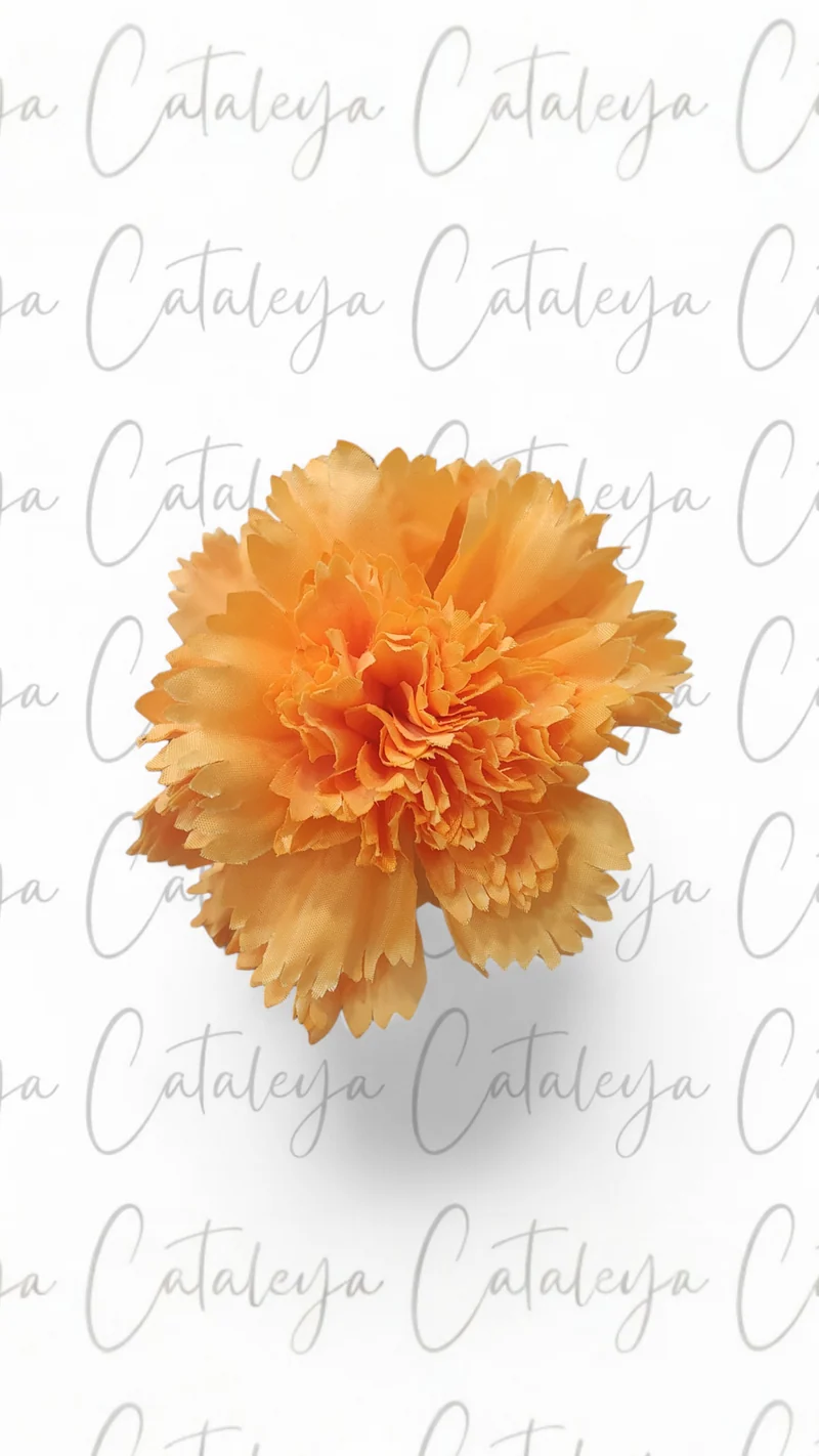 Clavel Mediano