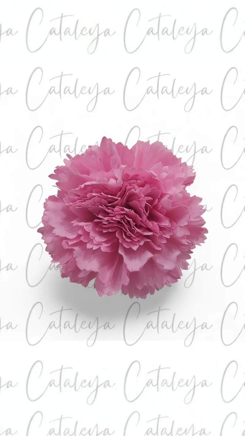 Clavel Mediano