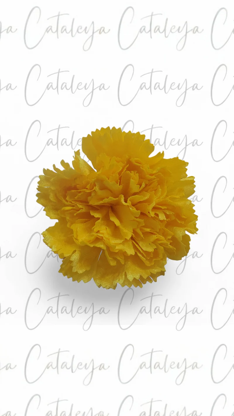 Clavel Terciopelo