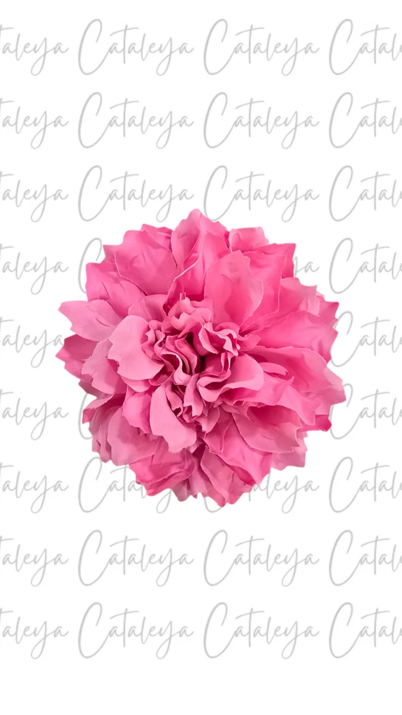 Dalia