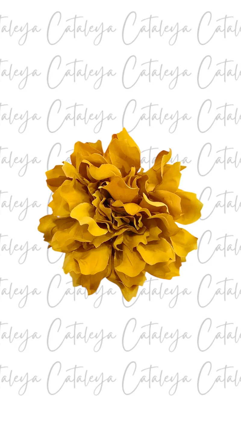 Dalia