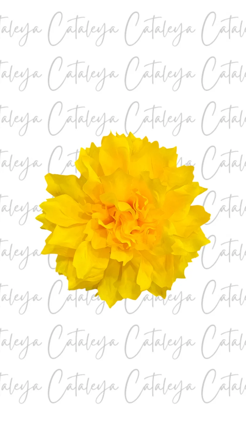 Dalia