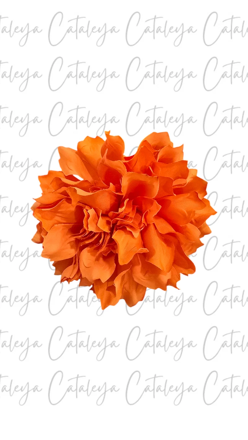 Dalia