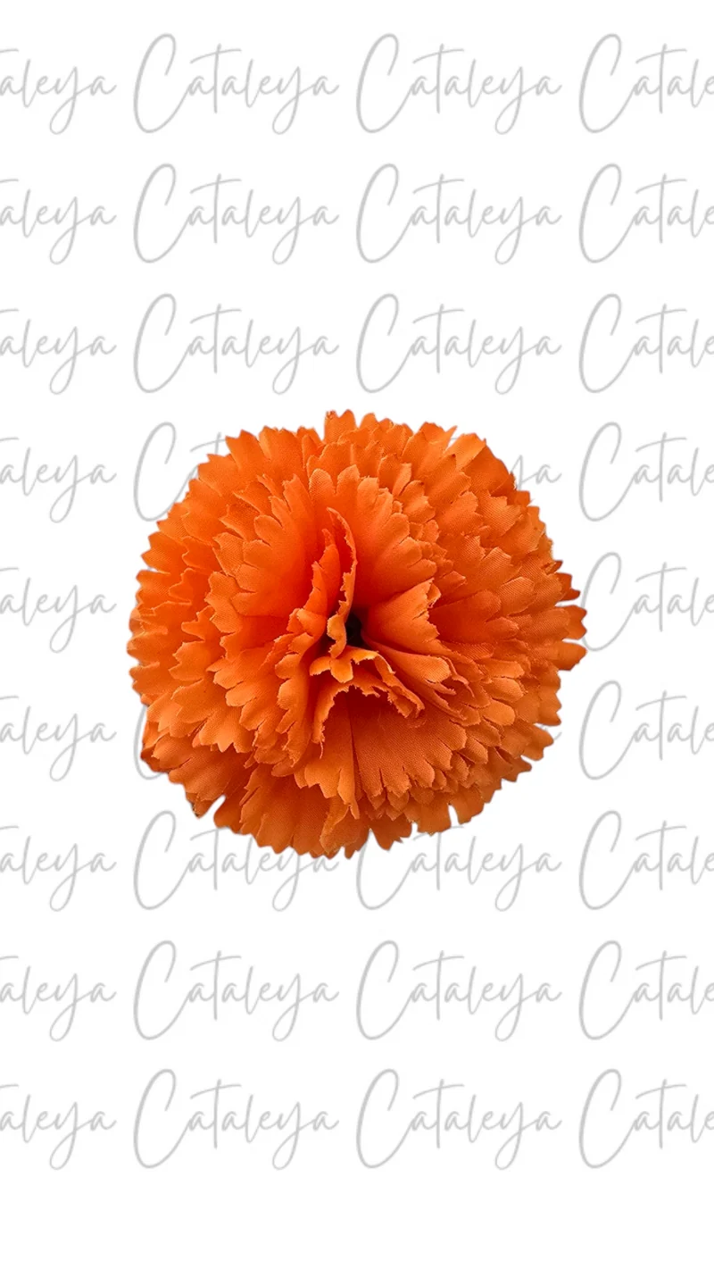 Clavel pequeño