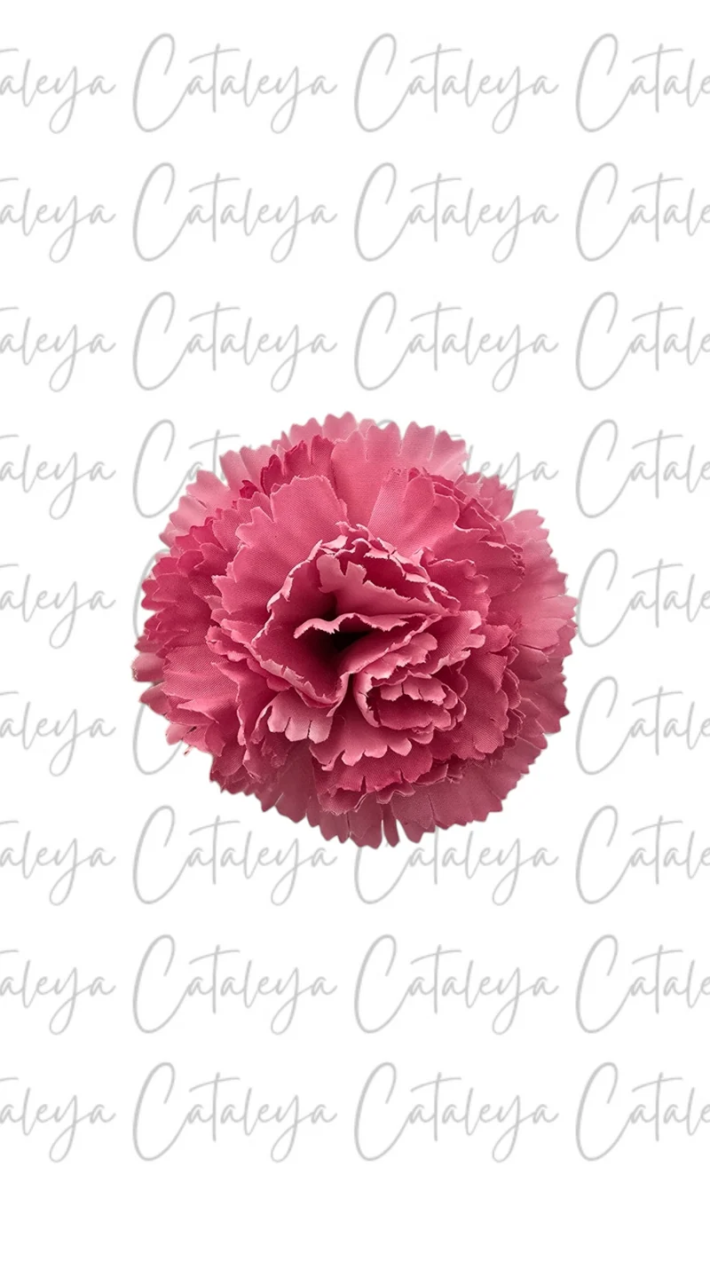 Clavel pequeño
