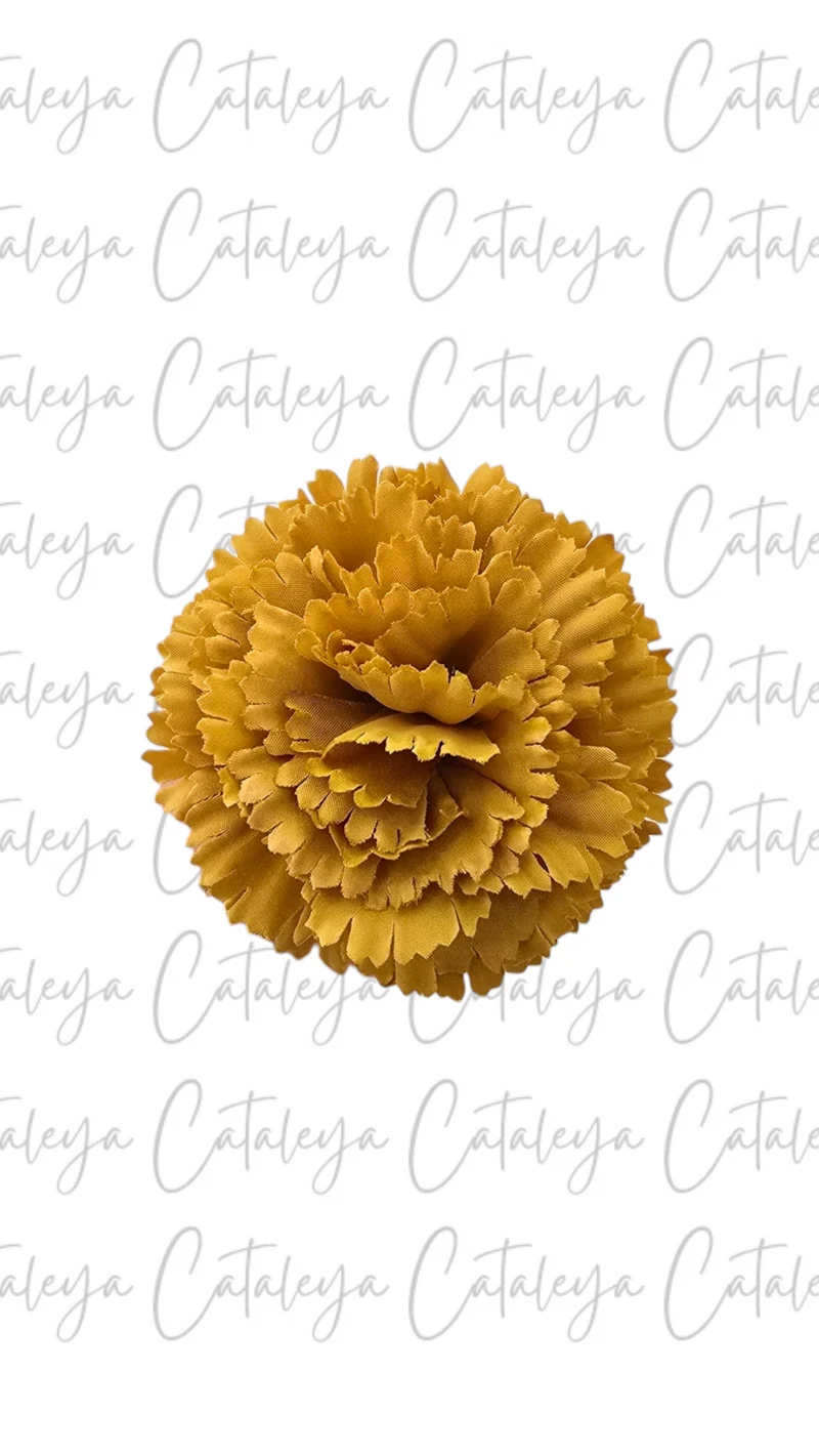 Clavel pequeño
