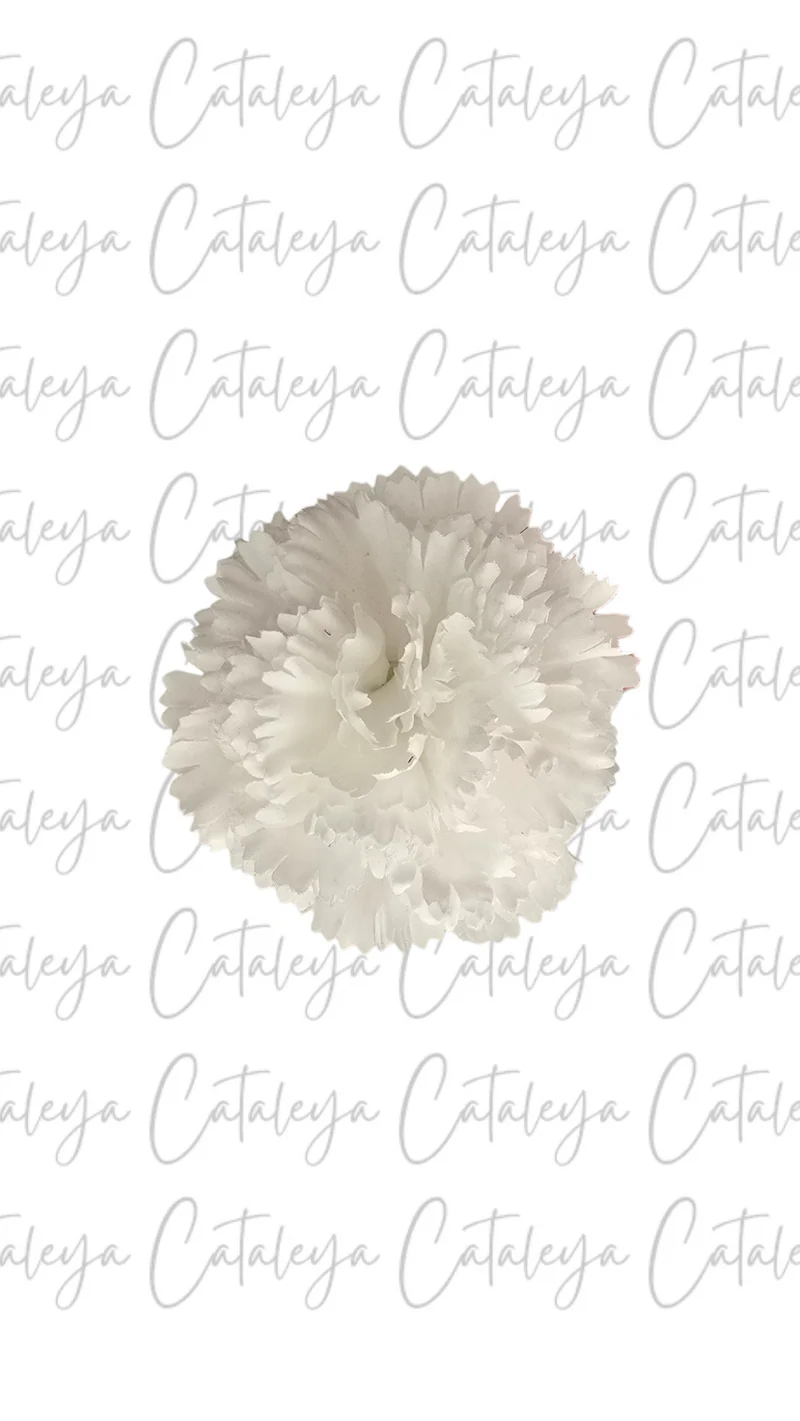 Clavel pequeño