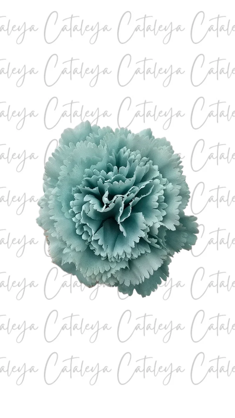 Clavel pequeño