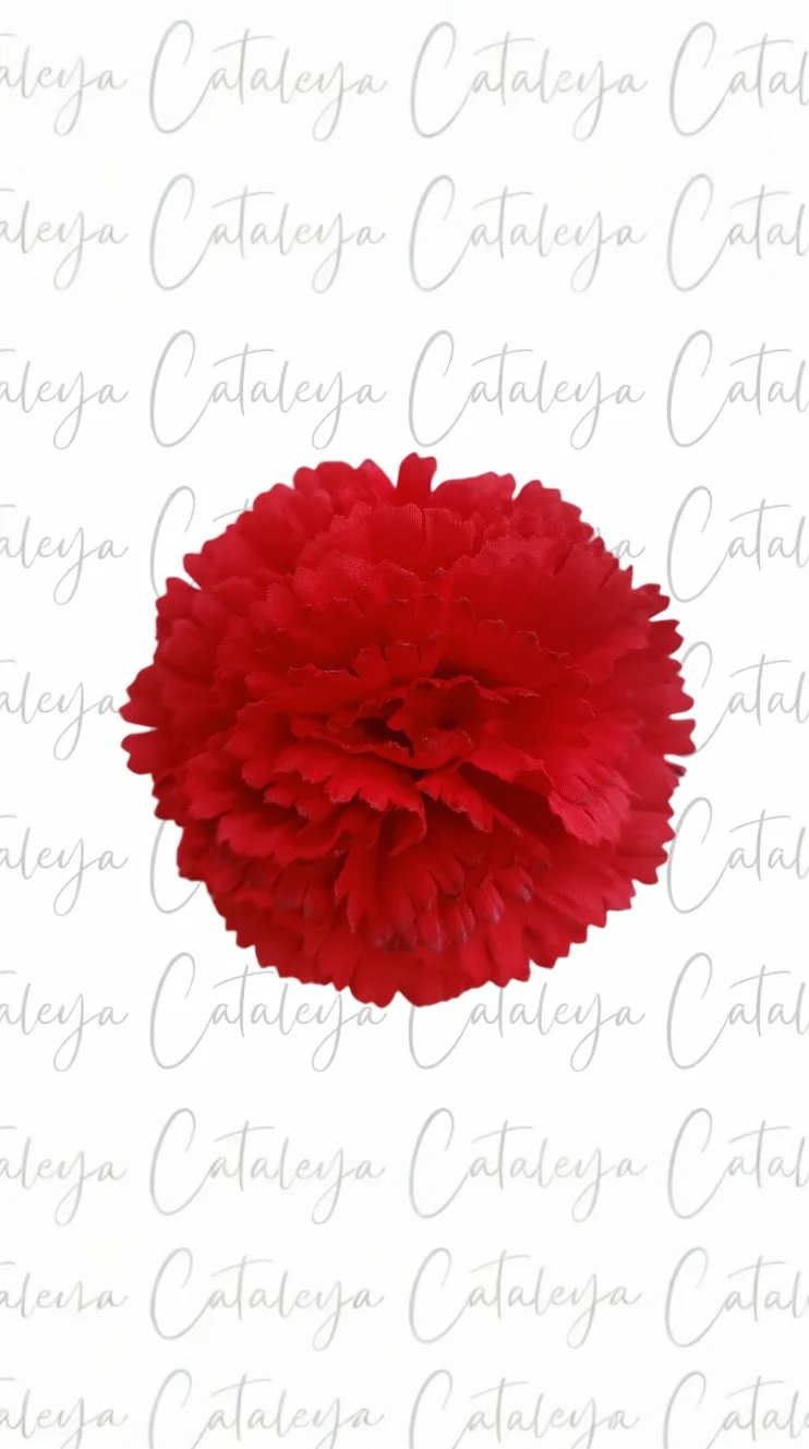 Clavel pequeño