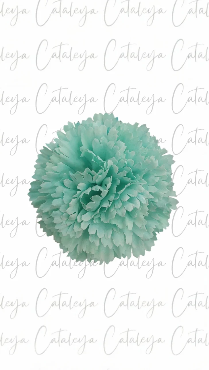 Clavel pequeño