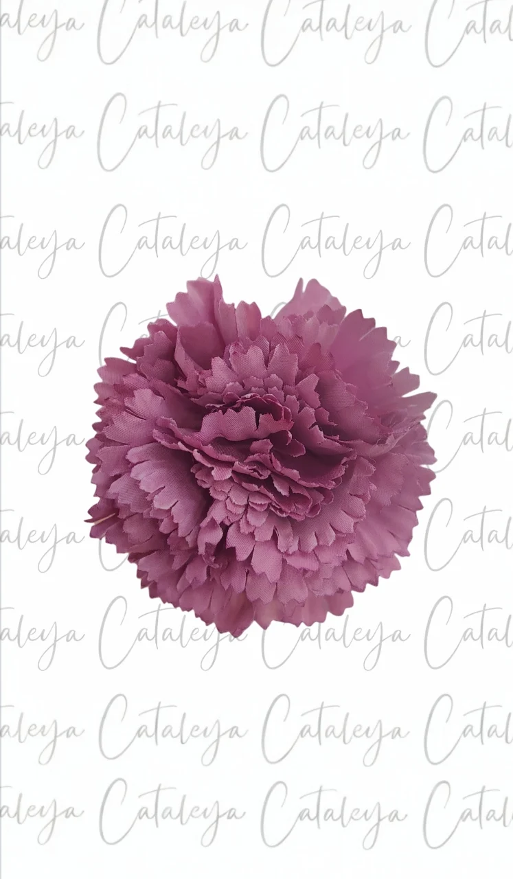 Clavel pequeño