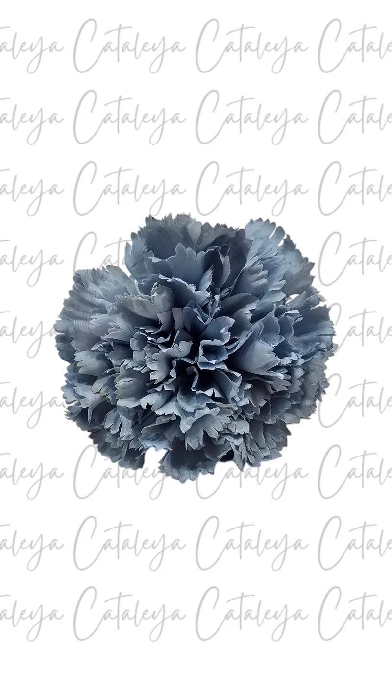 Clavel