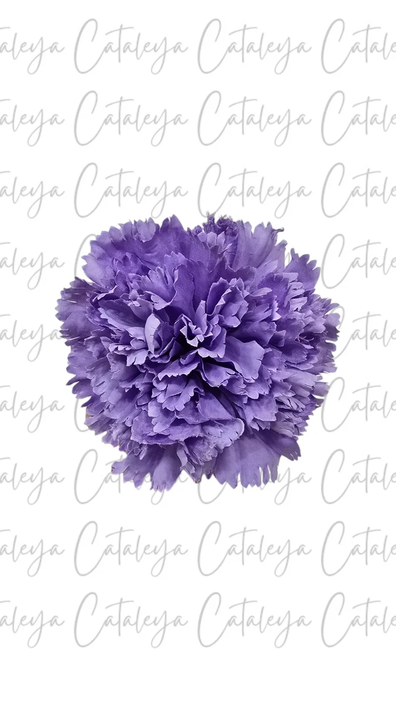 Clavel