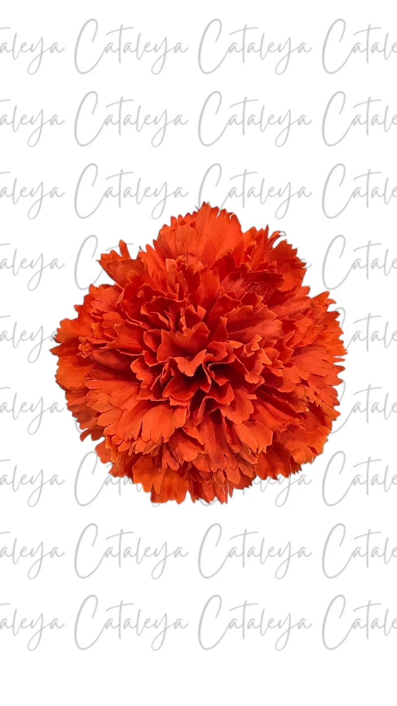 Clavel