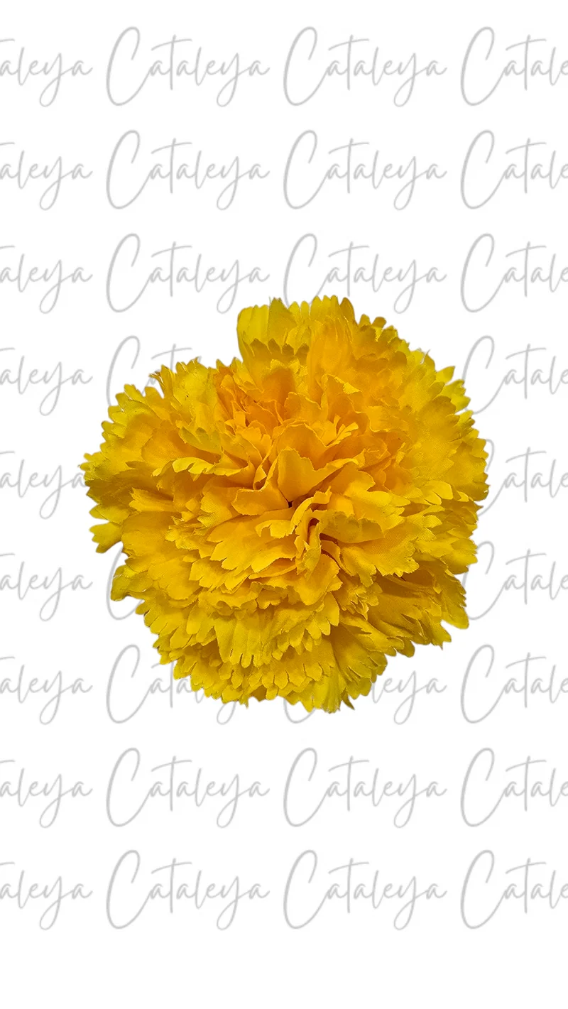 Clavel