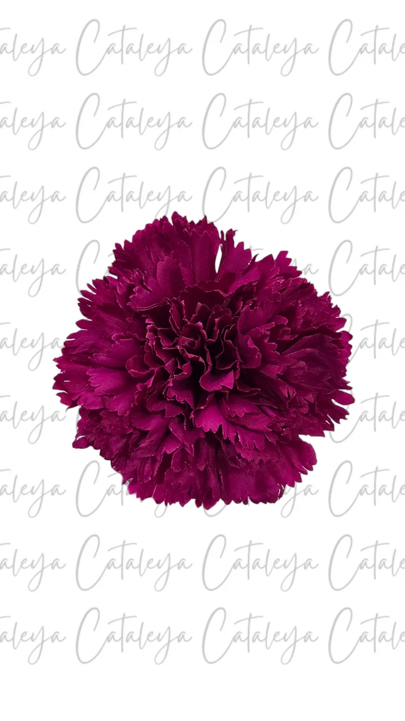 Clavel