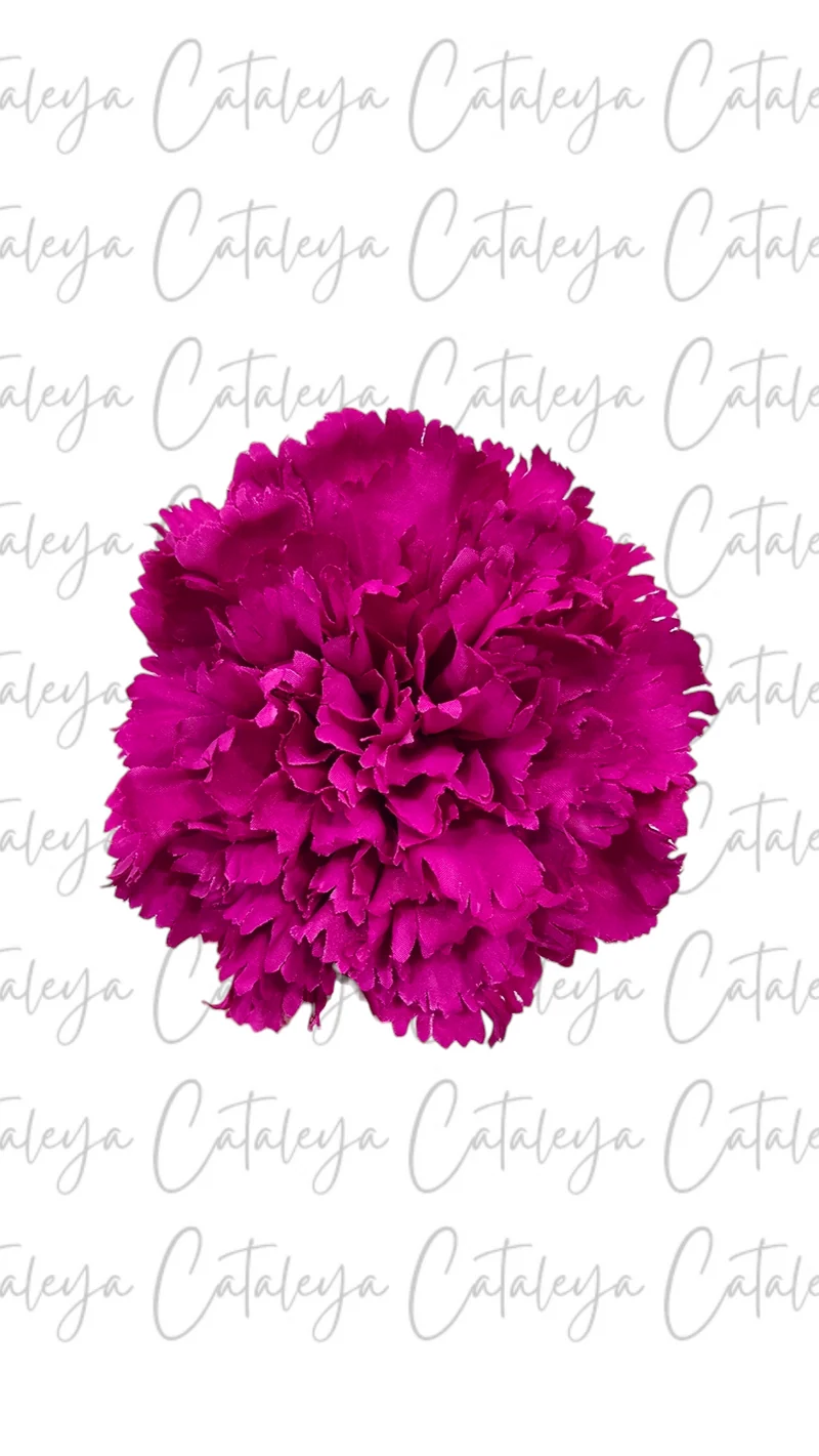Clavel