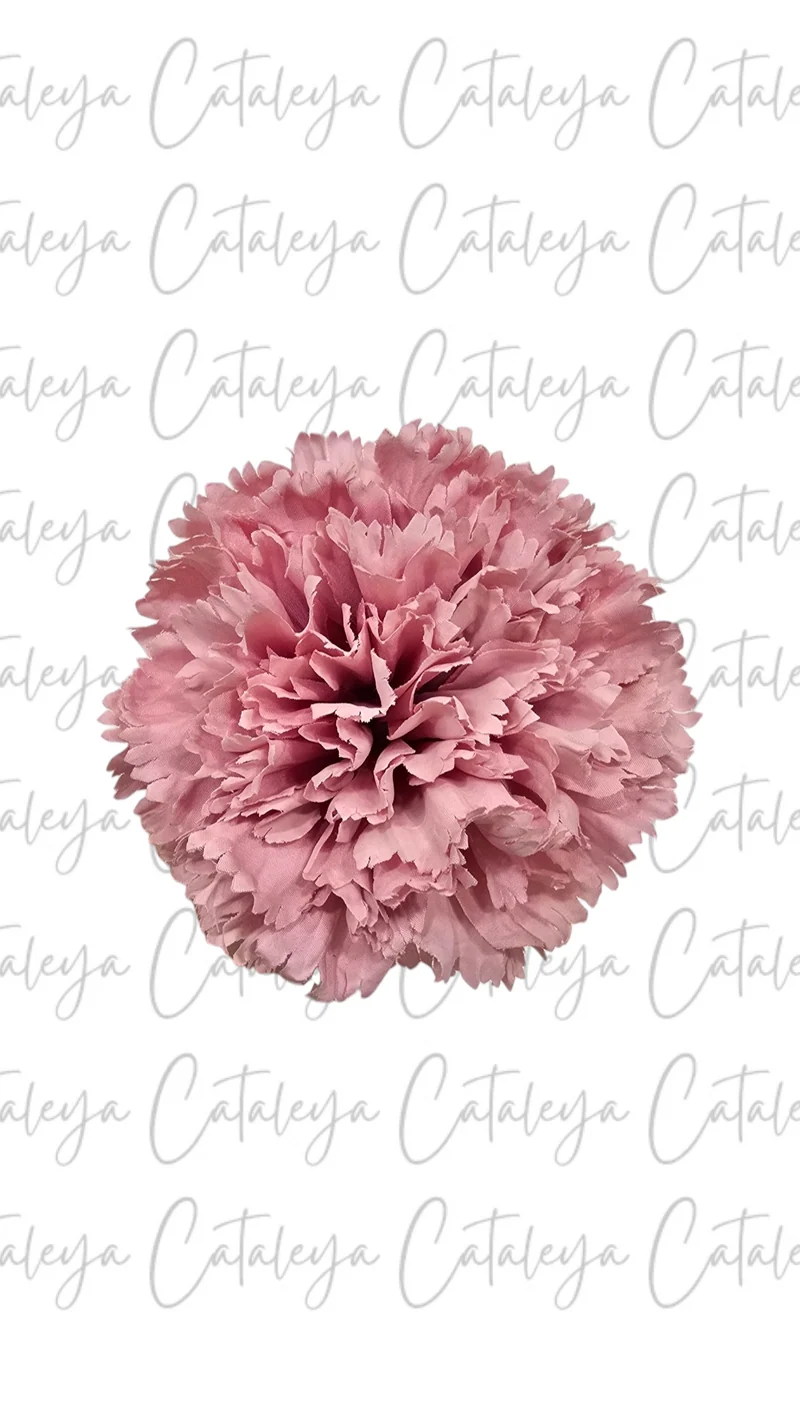 Clavel
