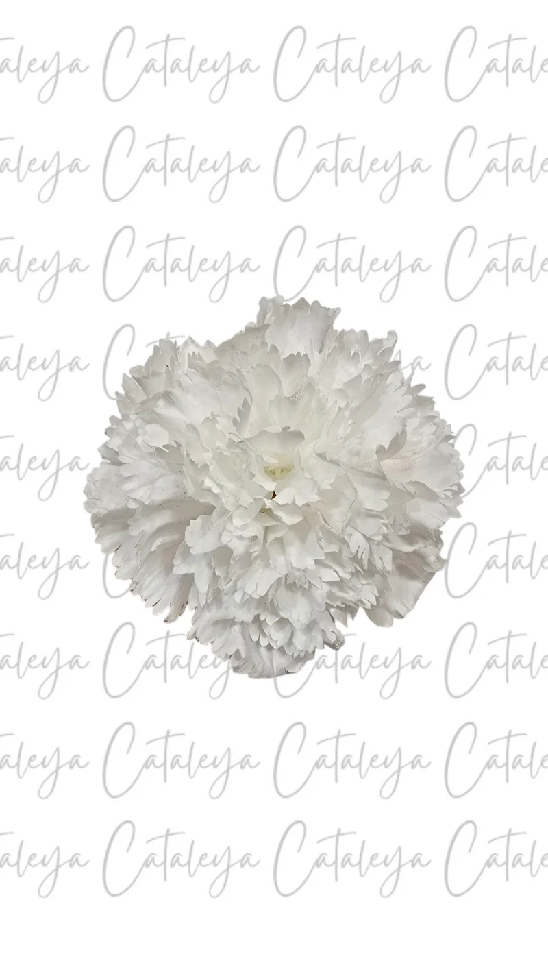Clavel