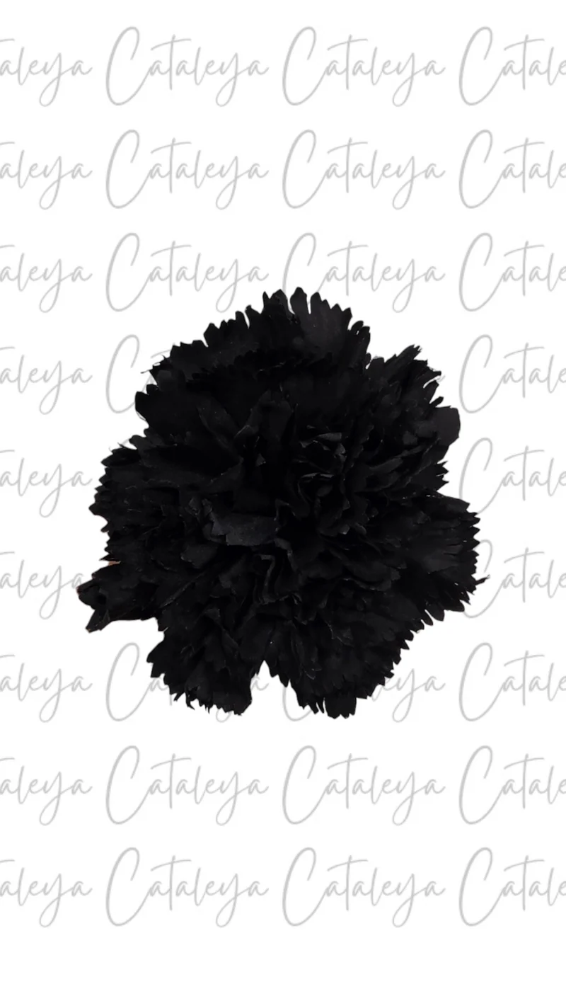 Clavel