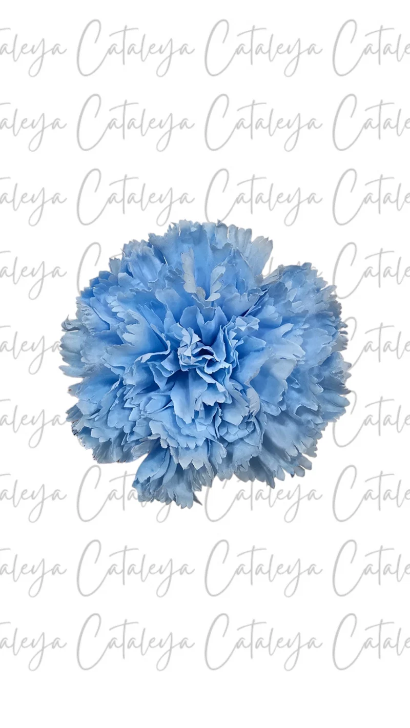 Clavel