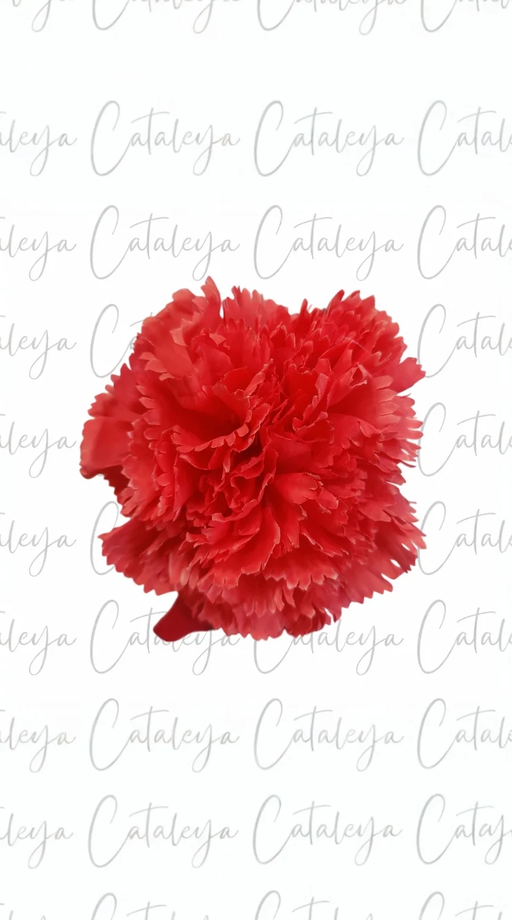 Clavel