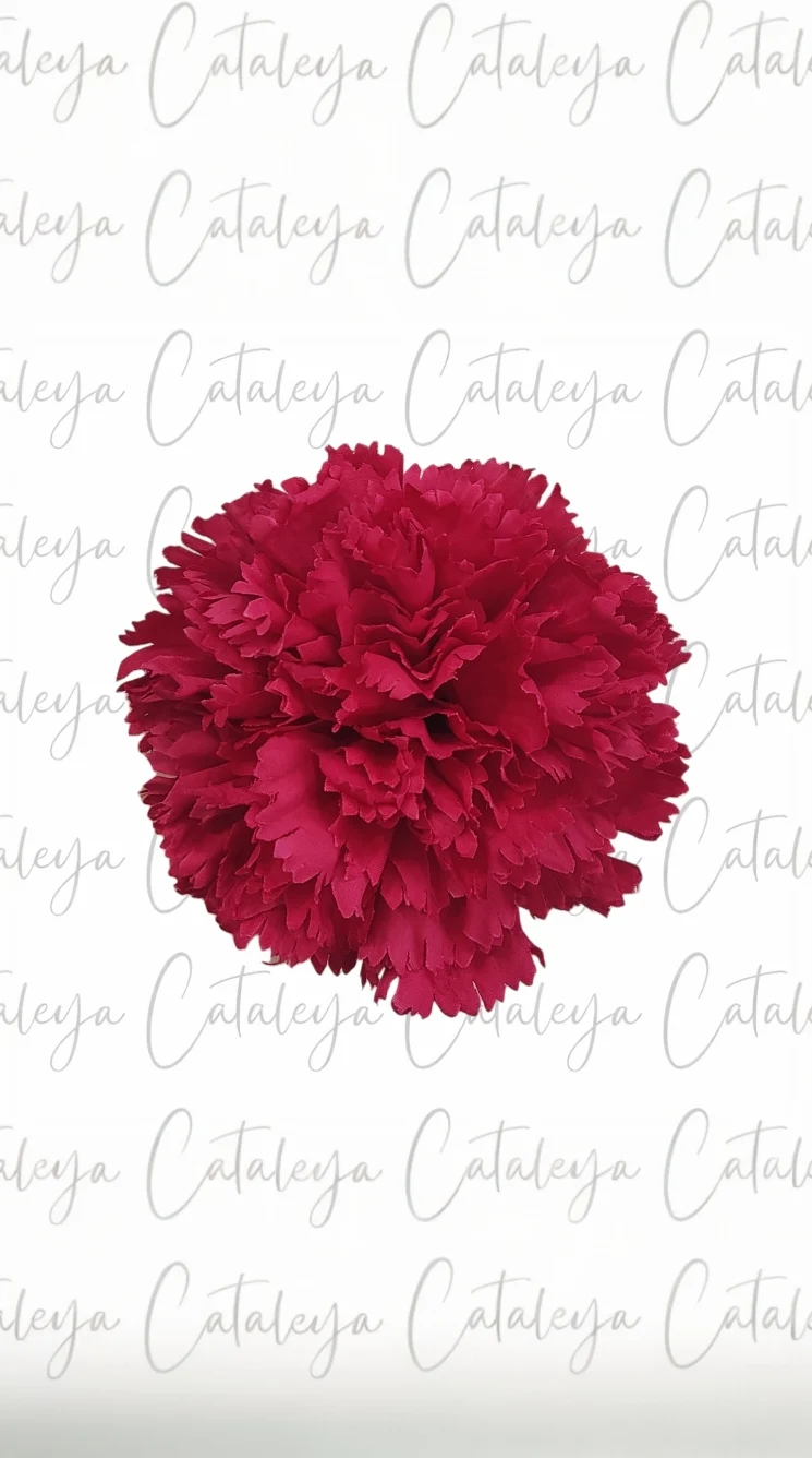 Clavel
