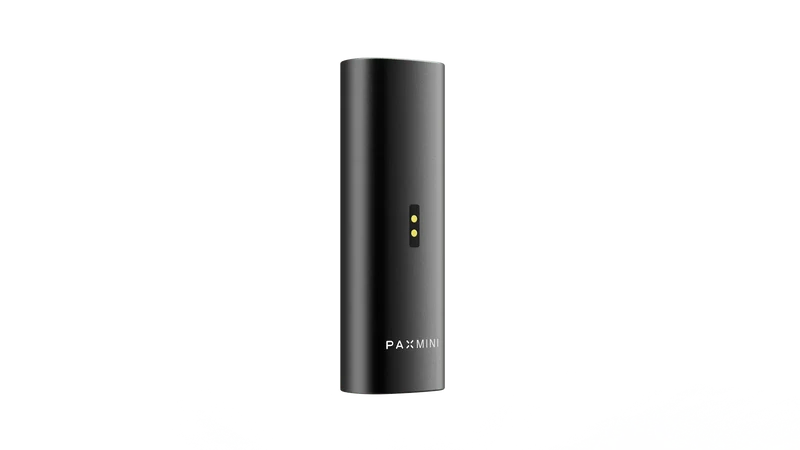 PAX - Mini 2