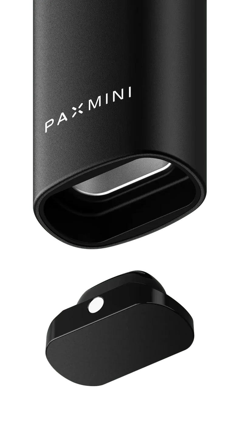 PAX - Mini 2