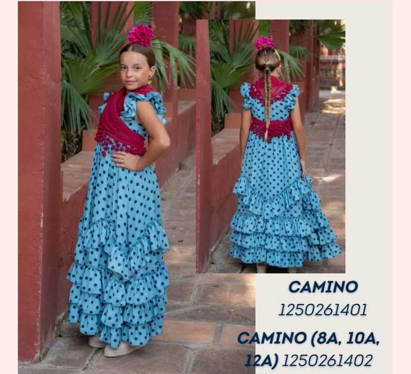Modelo Camino
