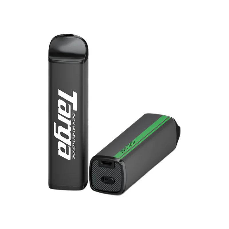 Targa 4000 Puff Cool Mint - Vaporizador Desechable