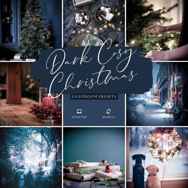 The Pro Pic Bundle