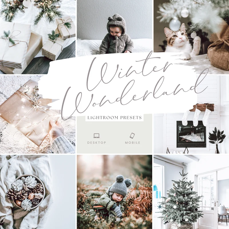 The Pro Pic Bundle