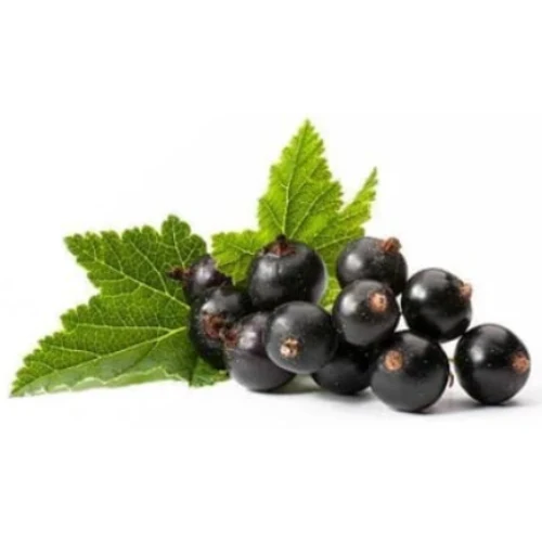 Blackcurrant (Grosella Negra) (Hangsen) 10ml
